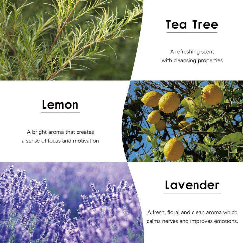 Aromatherapy Essential Oil Plant Aromatherapy Essential Oil Aromatherapy Essential Oil Patch