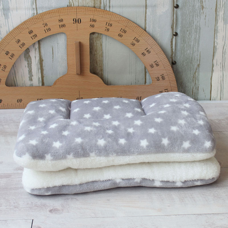 Autumn And Winter Thickened Pet Pad