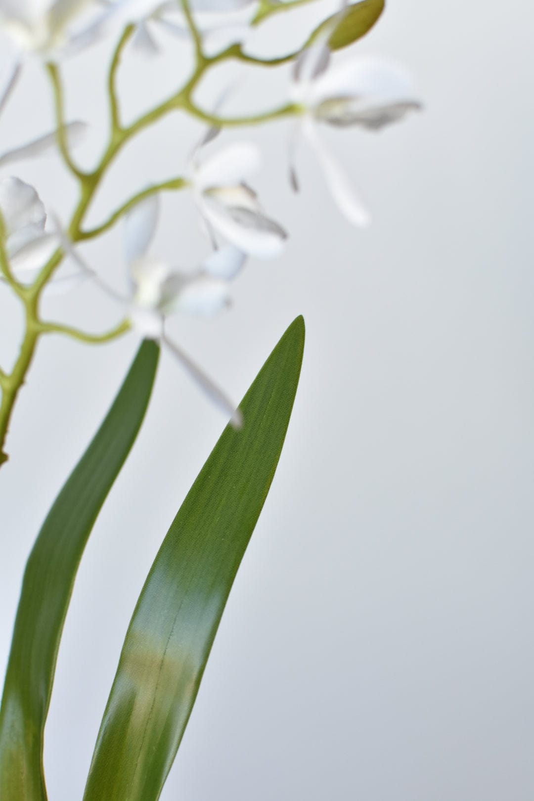 16" Faux Mini Orchid Stem with Leaves and Roots