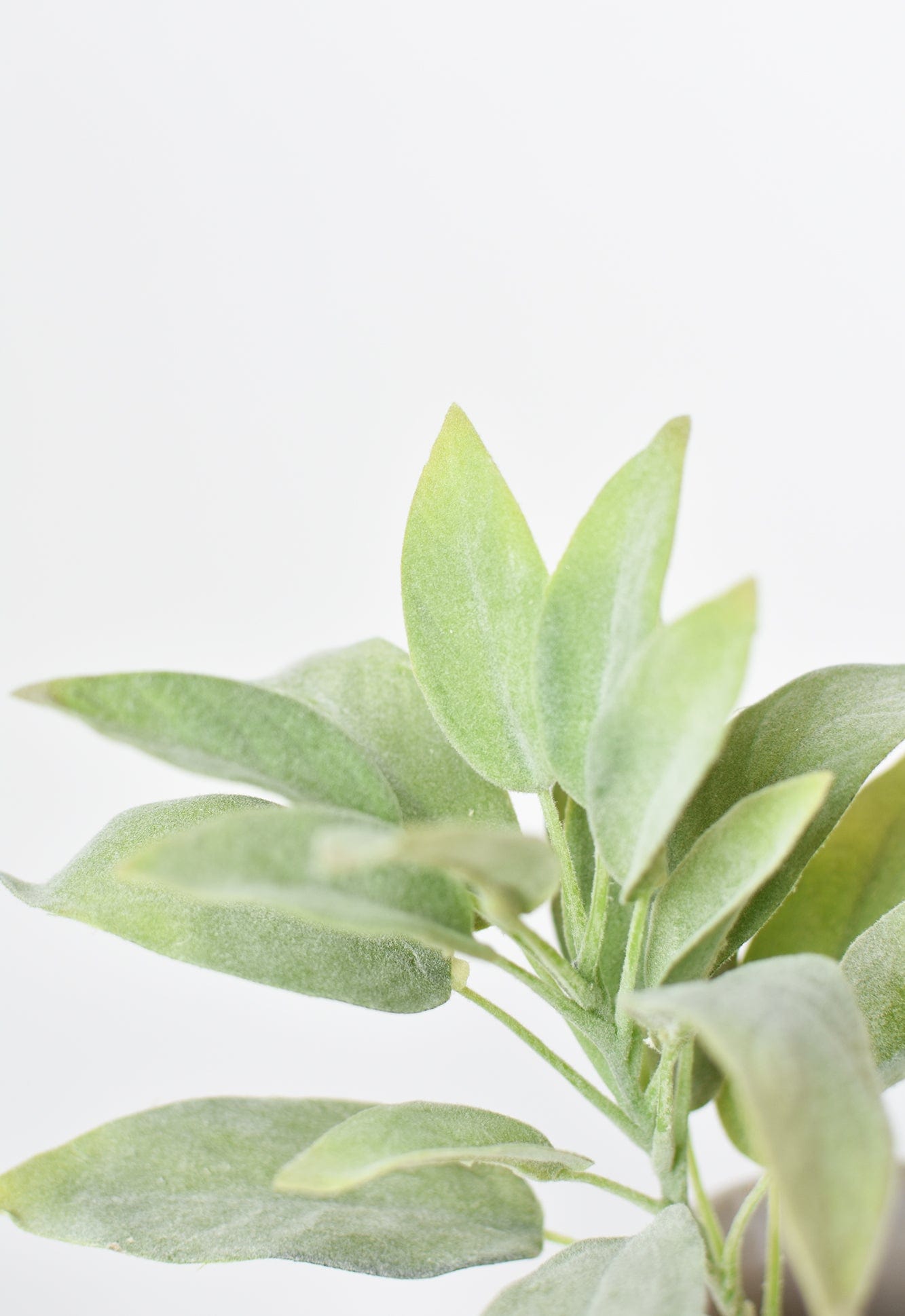 12"Faux Green Sage Pick Stem