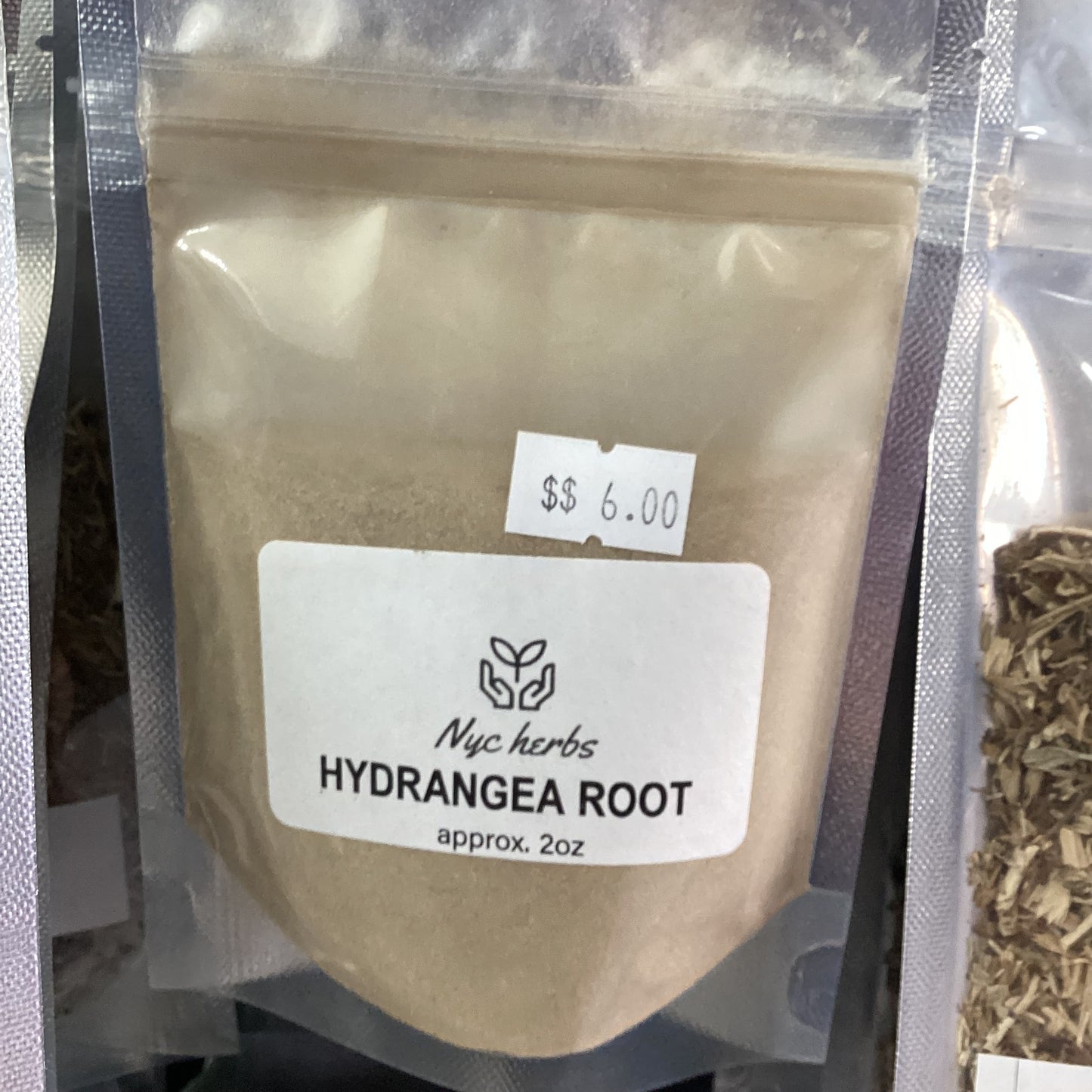 Hydrangea Root | Kidney Support, Detox & Urinary Health
