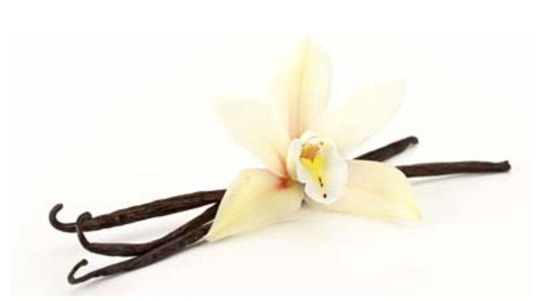 Body and Hair Botanical Oil, 4oz