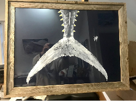 Tail Fishaye – Coastal Home Décor Accent Piece