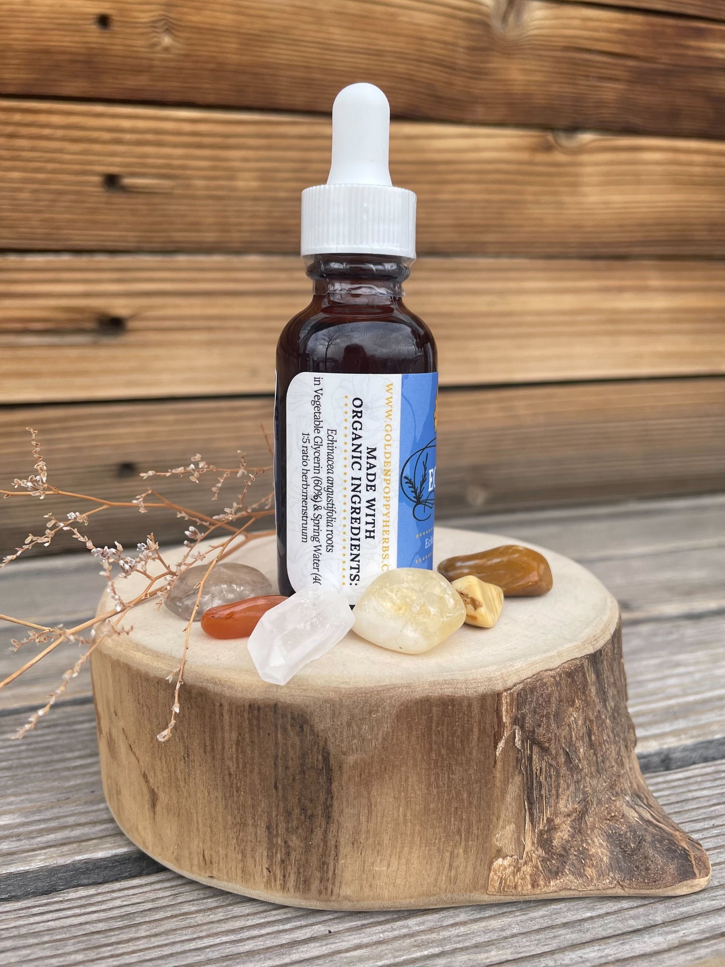 Echinacea Root Glycerin, 1 oz bottle