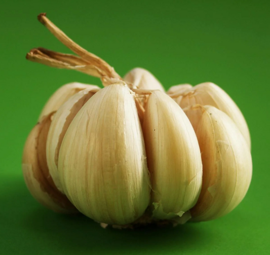 Garlic