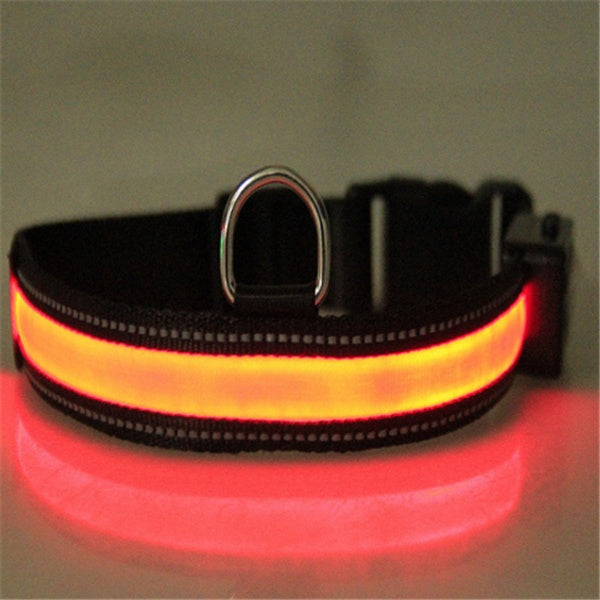 Fluorescent dog collar