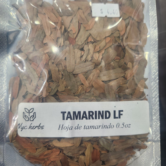 Butcher's Broom Root  | Vascular Support & Circulatory Health