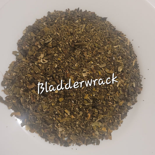 Bladderwrack | Thyroid Health & Metabolic Support
