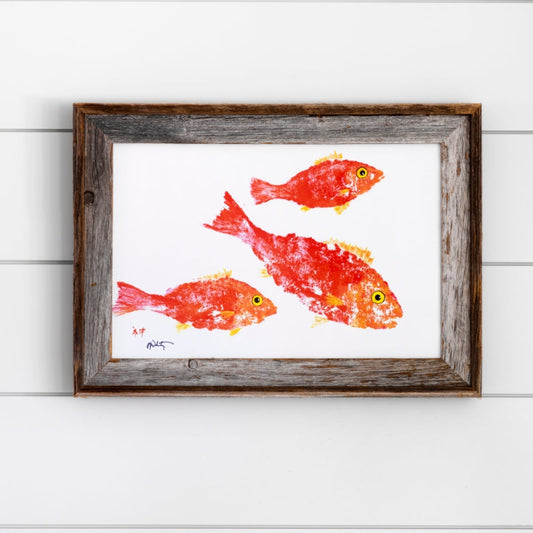 Coastal Art Coral Snapper Fish Ocean Artist Inspired