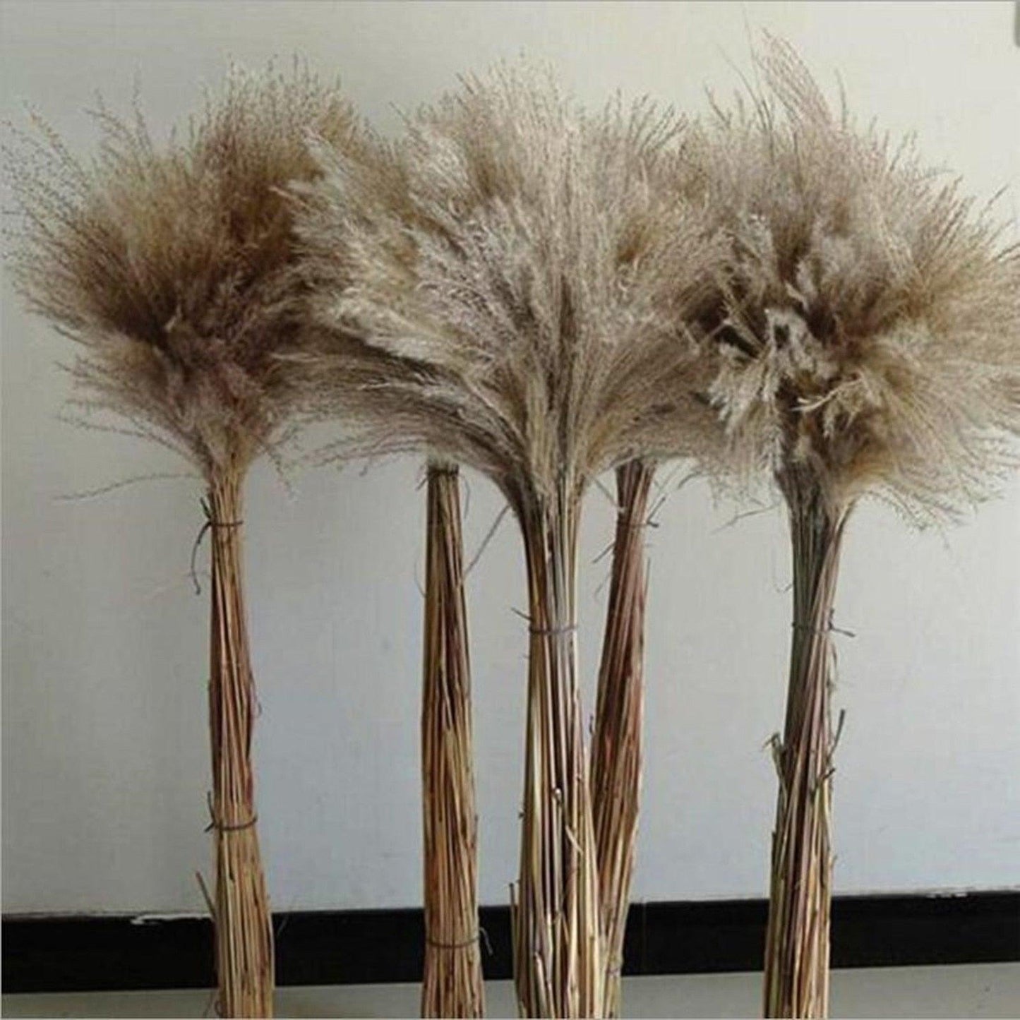 30/50pcs Bulrush Natural Dried Small Pampas Grass Artificial Decor Wedding Flower Bunch Home Office  Floor Vase Filler for Living Room Kitchen And Event Decoration