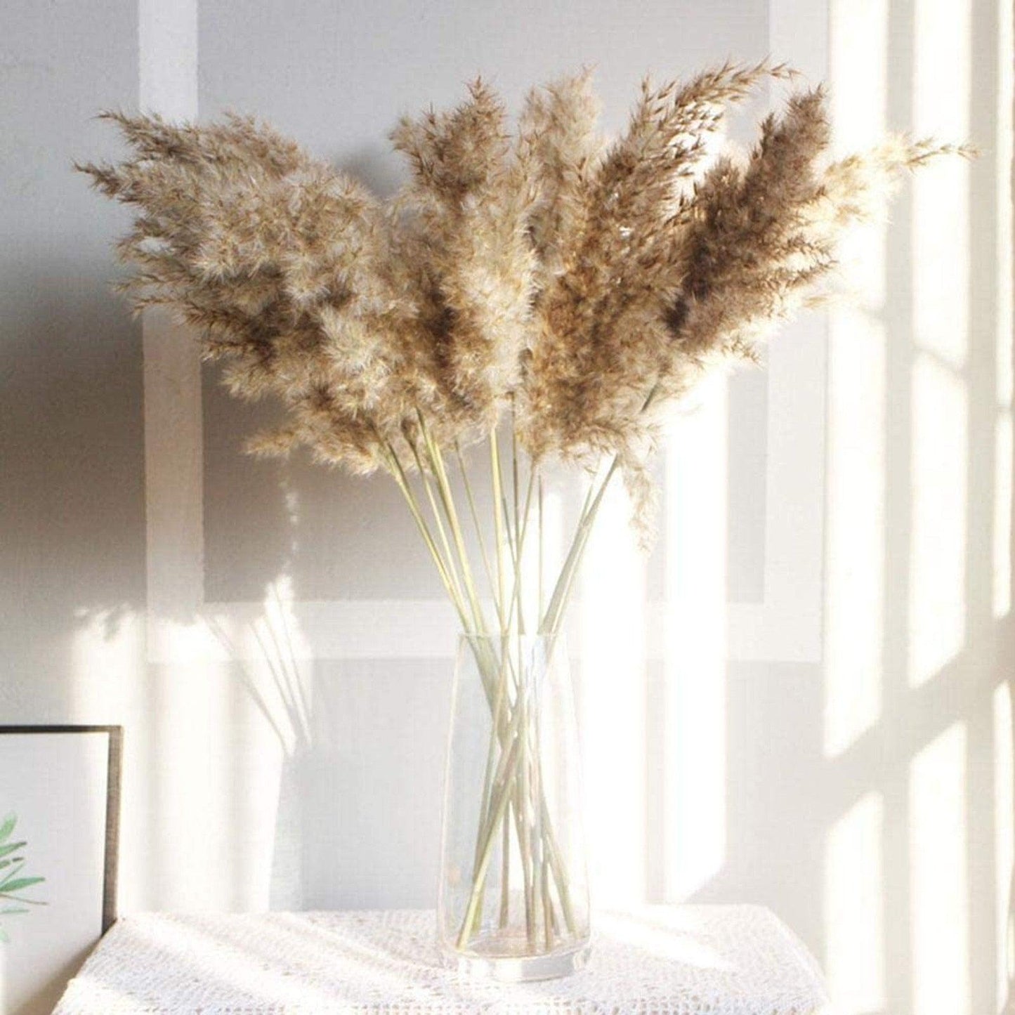 30/50pcs Bulrush Natural Dried Small Pampas Grass Artificial Decor Wedding Flower Bunch Home Office  Floor Vase Filler for Living Room Kitchen And Event Decoration