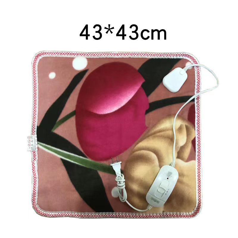 Winter Home Safety Thermostatic Heating Blanket