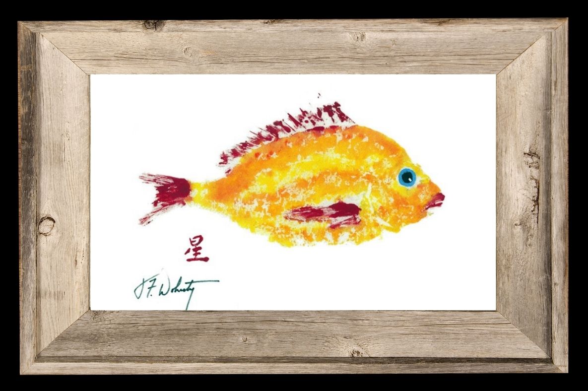Coastal Art Yellow Red Scup Fish Ocean Artist Inspired