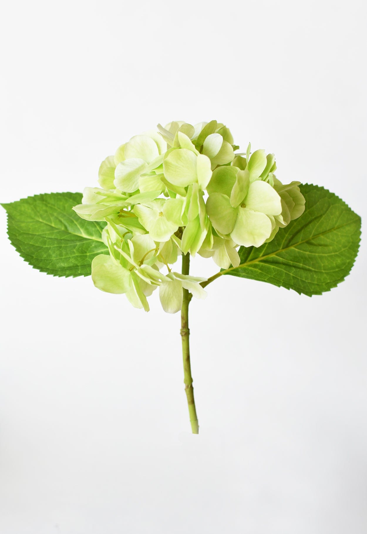10" Faux Green Hydrangea Stem