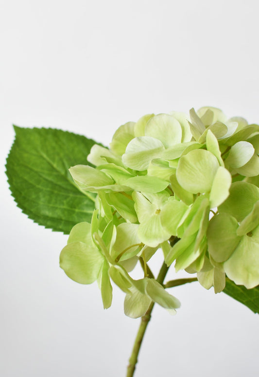 10" Faux Green Hydrangea Stem