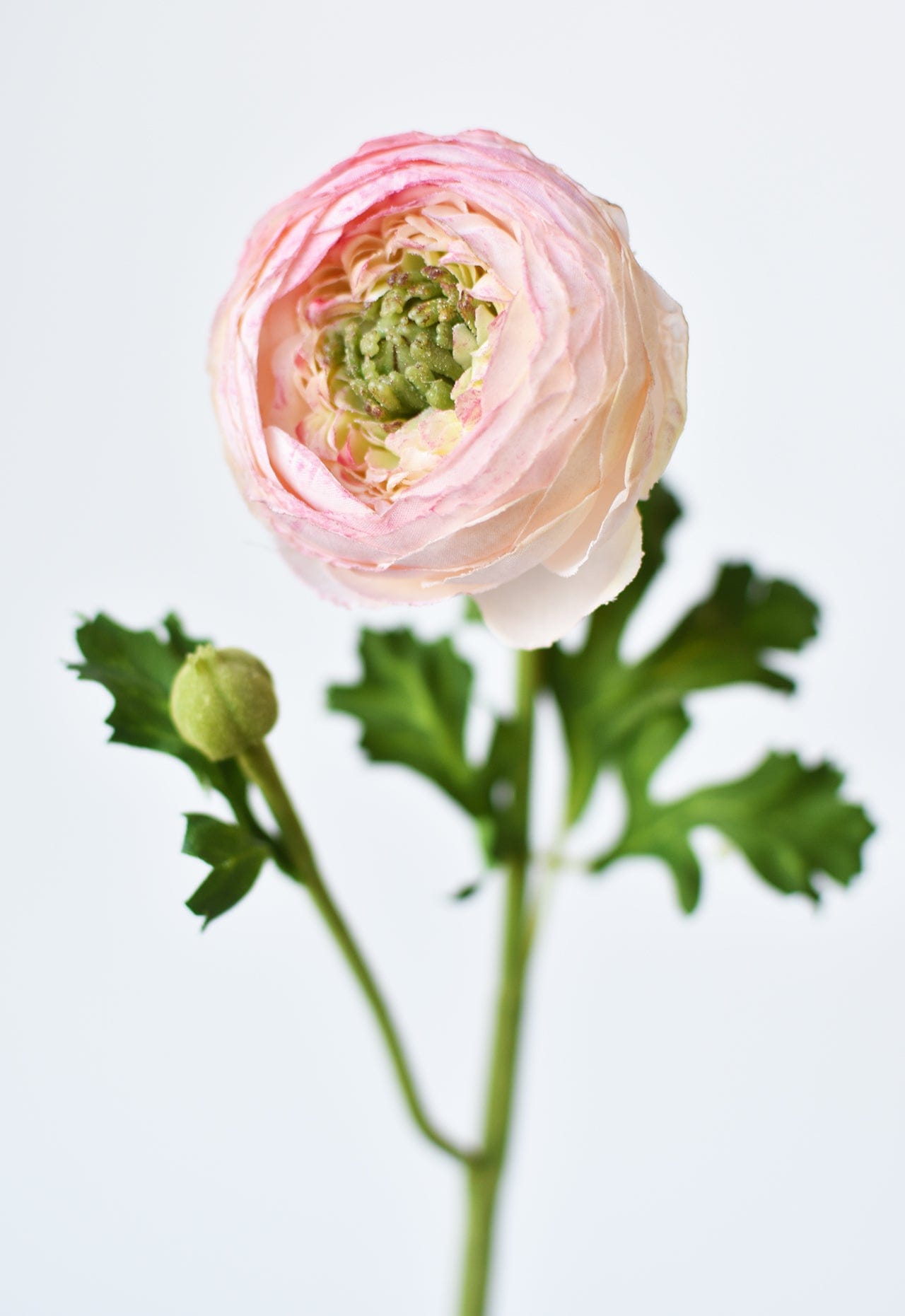 13" Faux Blush Ranunculus Stem