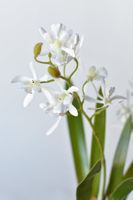 16" Faux Mini Orchid Stem with Leaves and Roots