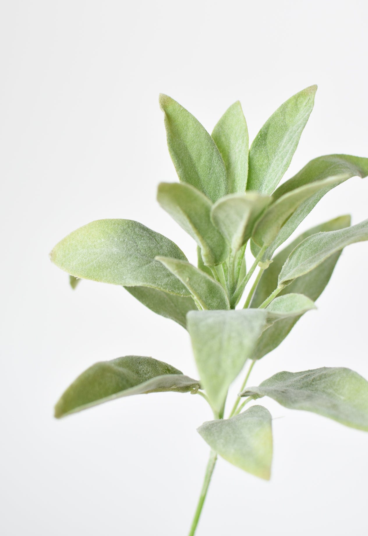 12"Faux Green Sage Pick Stem