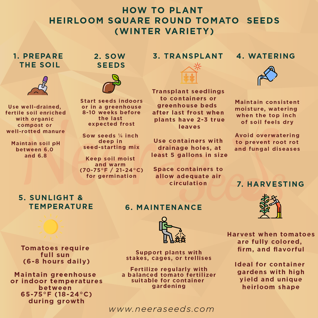 Heirloom Square Round Tomato (Winter Variety) Seeds for Planting – Non-GMO, High-Yield  Vegetable Seeds for Home Garden & Containers