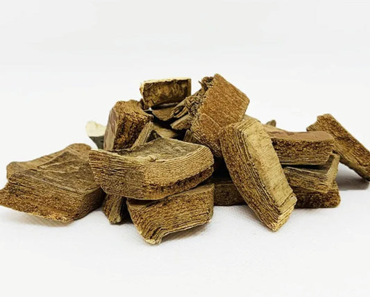 Gumbo Limbo | Skin Healing & Anti-Inflammatory Aid