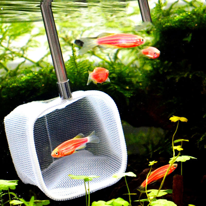 Three-dimensional Shrimp Fishing Round Small Fishing Aquarium Accessories