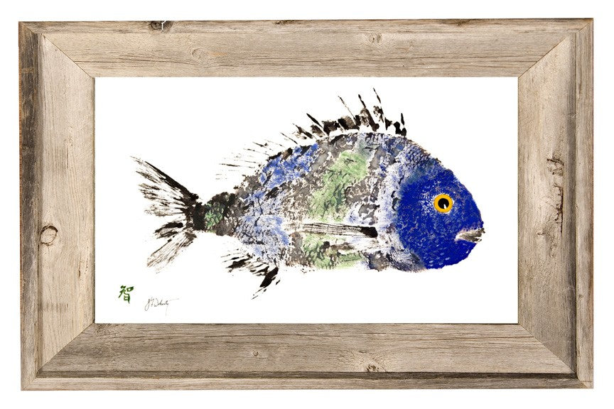 Coastal Art Scup Ocean Fish Artist Inspired
