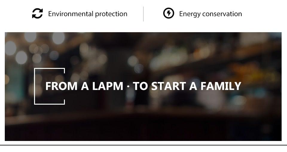 Edison Bulb Indoor Night Light Rose  Flower  Holiday Christmas Wedding Decor Bulbs High Brightness Daylight White Antique LED Filament Bulbs For Home Decor Party