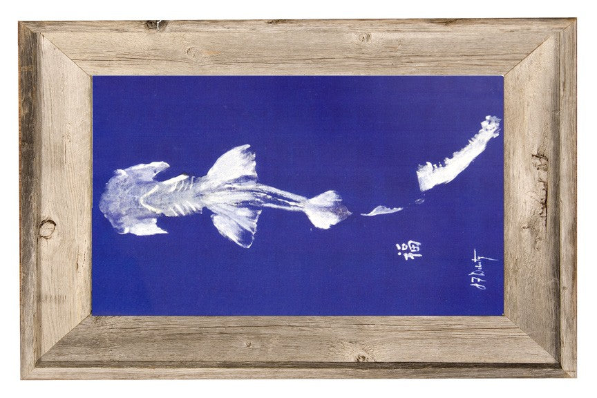 Coastl Art Hammerhead Fish Ocean Artist Inspired
