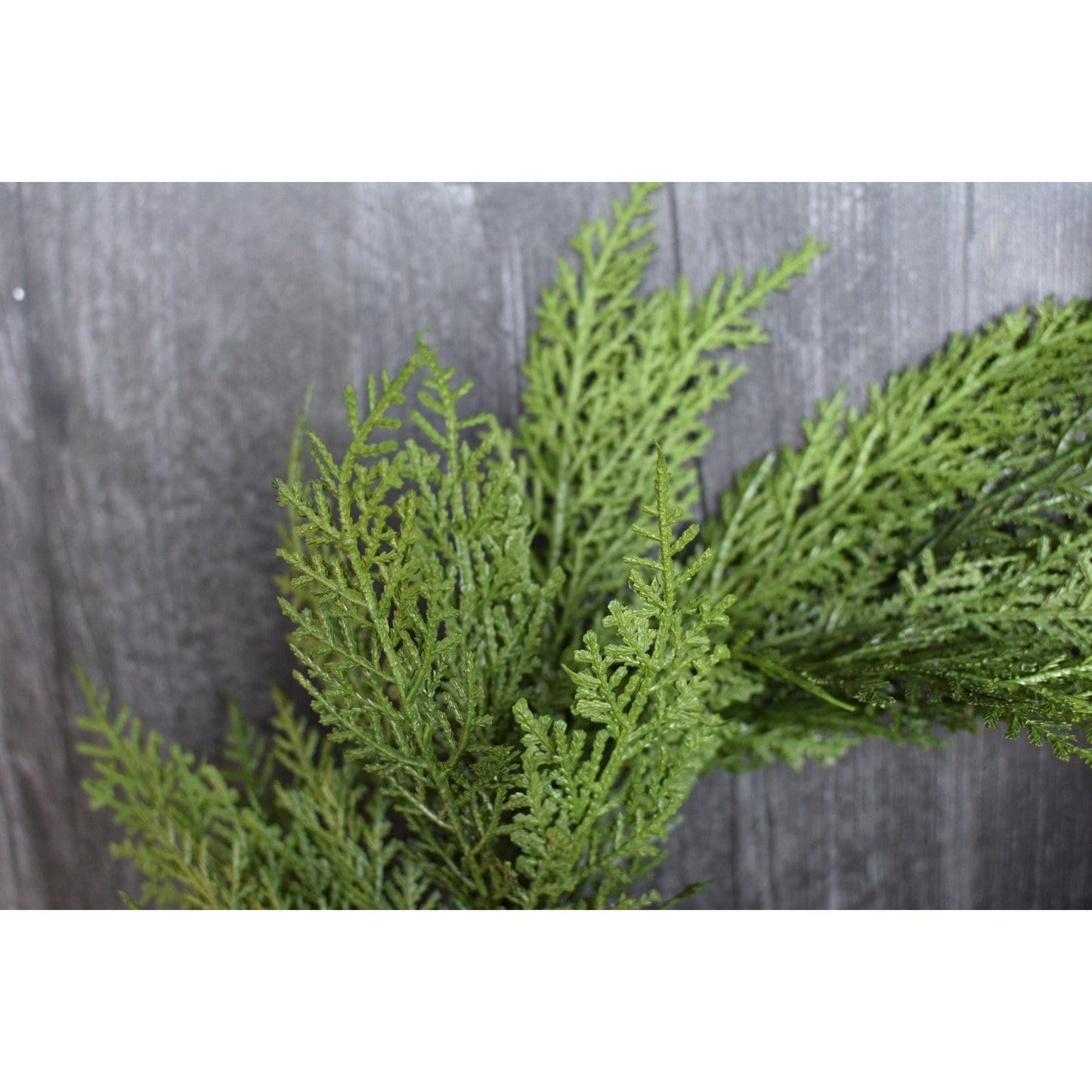 12" Faux Cedar Wreath CW1