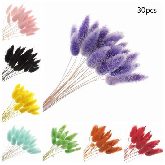 Natural Dried Flower Colorful Dried Fox Tail, Bunny Tail Pampas Grass Bunch Real Bouquet For Photography Props Flores Home Wedding Decor