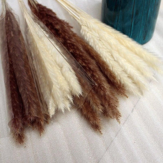 Natural Dried Pampas Grass Colorful Bulrush Artificial Home Wedding Living Room Decoration Accessories Long Bouquet Pompass Grass Branches for Vase Artificial Grass Room Décor Wedding Decorations