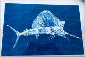 Purple Sailfish Placemat | Coastal