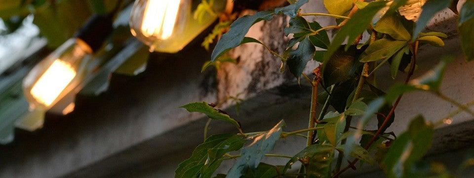 Retro Edison Bulb ST64 A19 T45 G80 G95 G125 Incandescent Light Bulb E27 220V 40W filament bulb lighting tubes Edison