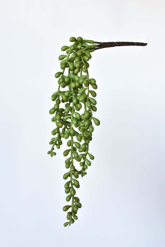 13" Faux String of Pearl Succulent Stem